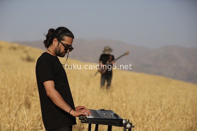 Musical Creation in the Wheat Field: Outdoor Performance by Keyboardist and Guitarist
