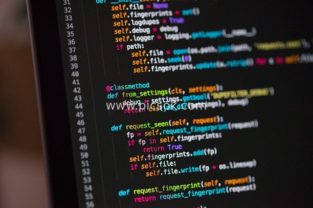 Close-Up of Python Programming Code: A Programmer's Development Work Scene