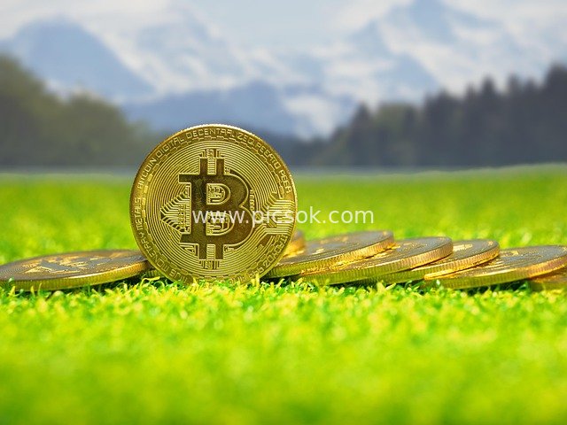 Bitcoin Coins on Lush Green Grass with Snow-Capped Mountains and Forest Background – Cryptocurrency Image