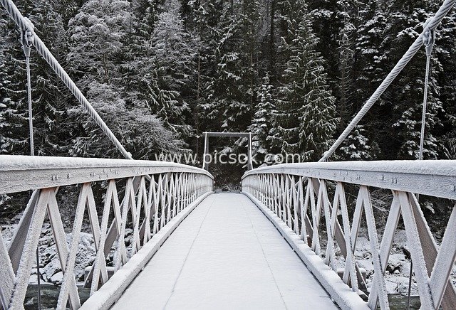 冬日林间悬索桥雪景 雾凇冷雾中的森林景观
