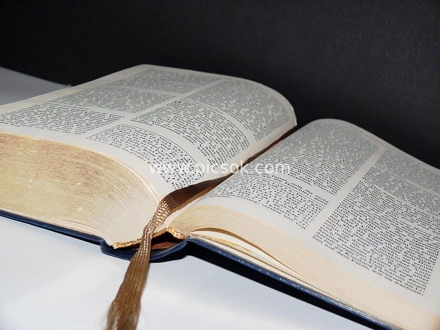 Paper Reading Moments: An Open Thick Book and the Serene Study Atmosphere