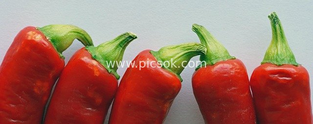 新鲜红辣椒排列特写 厨房烹饪食材素材