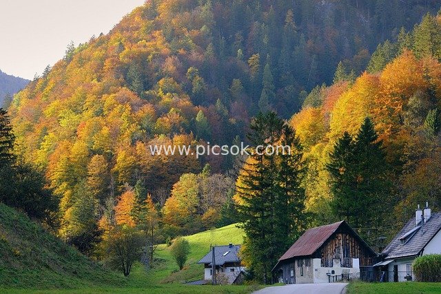 Autumn Mountain Landscape with Colorful Forest and Serene Village