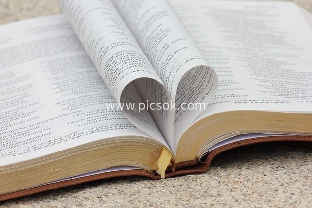 Bible Pages Rolled into a Heart: A Gentle Expression of Faith and Reading