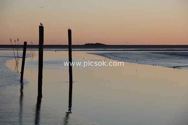 Tranquil Coastal Scenery of the Wadden Sea in Northern Germany at Dusk