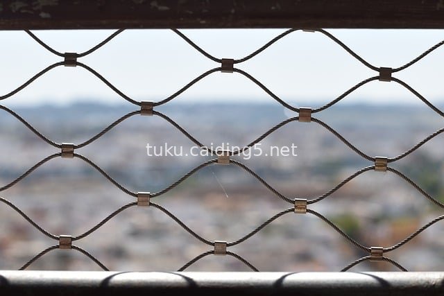 Metal Mesh Fence: Urban Distant View & Architectural Structure Close-up
