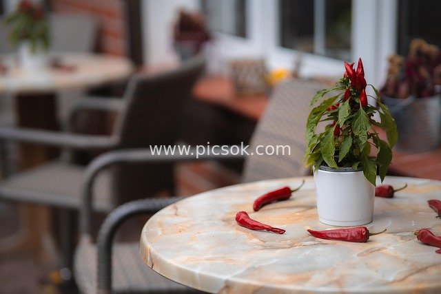 秋日咖啡馆的辣椒盆栽与餐桌红辣椒装饰
