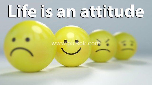 Life is an Attitude Inspirational Emoji Ball Material Image