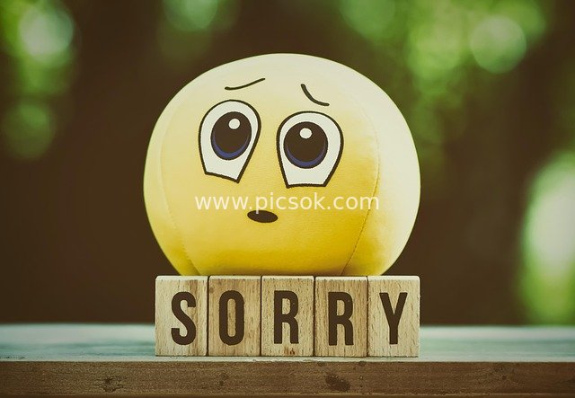 Cute Sorry Emoji and 'SORRY' Letter Blocks Apology Material