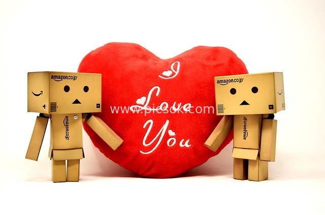 Danbo Cardboard Figures with Heart: Conveying Love on Romantic Valentine's Day