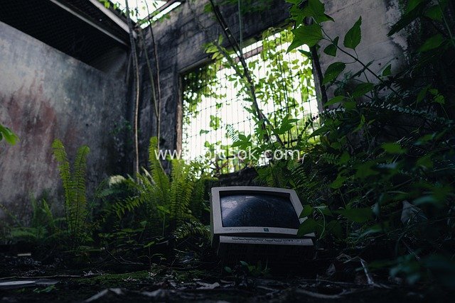 Old Monitor in Abandoned Building: Eerie Scene Overgrown with Plants