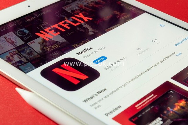 iPad Displaying Netflix App Store Interface