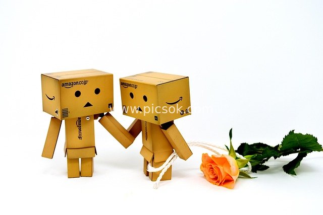 Romantic Apology & Proposal with Cute Danbo Cardboard Figures by Roses