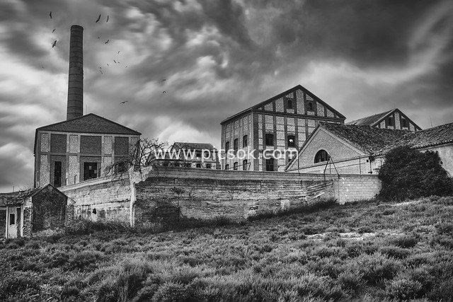 Abandoned Factory Black-and-White Landscape: Architecture, Birds and a Time-Worn Atmosphere