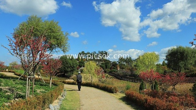 Elderly Person Strolling on Park Trail Amid Autumn Blue Sky and Natural Scenery