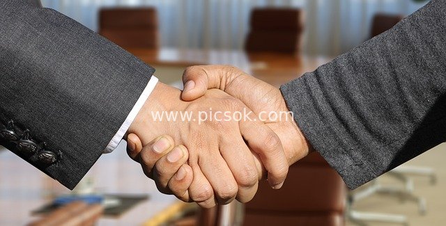 Business Professionals Shaking Hands – Agreement Reached in Workplace Negotiation and Collaboration