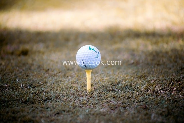 golf, golfer, golfing, recreation, play, golfed, tee, throw, hobby, leisure, player, frisbee, green, sport, game, park