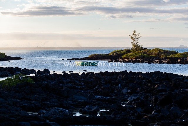 Volcanic Coast of Mauritius: Seaview with Black Rocks, Lonely Tree and Small Boat