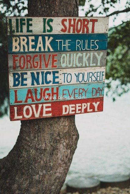 Inspirational Quote Wooden Sign by Seaside Tree - Life Philosophy Text Poster