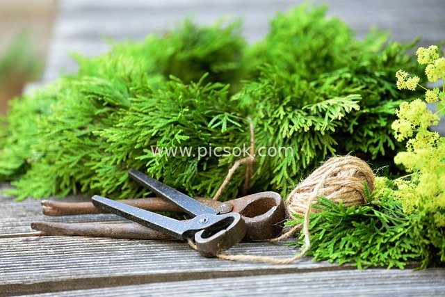 DIY Creation Scene with Handmade Floral Tools and Green Plant Decoration