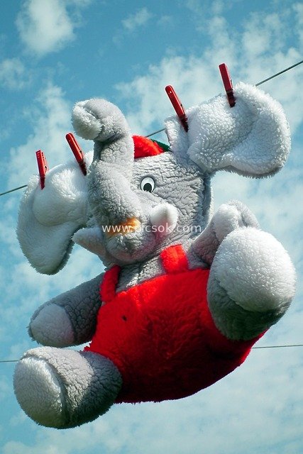 Cute Plush Elephant Toy Drying: Red Suspenders & Clothespins Against Blue Sky