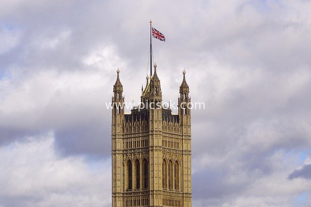 Gothic Tower of London’s Palace of Westminster (Parliament Buildings) with Fluttering UK Flag