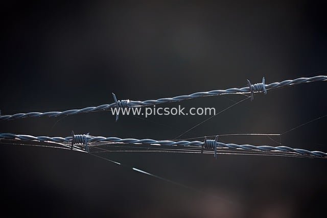 Barbed Wire Prison Fence: A Security-Protective Metal Barrier