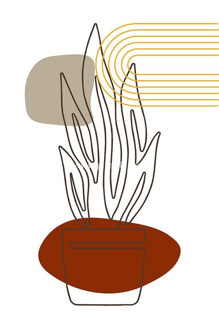 极简主义盆栽插画 简约美学自然装饰画