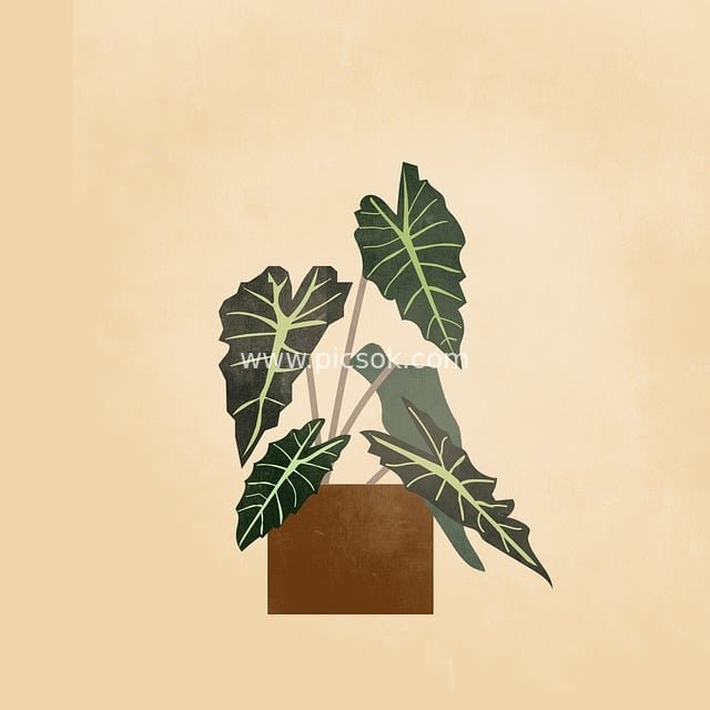 波西米亚风手绘室内植物装饰画 清新绿植插画