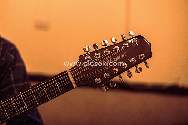 Close-up of Takamine 12-String Guitar Headstock - Musical Instrument Photo Material