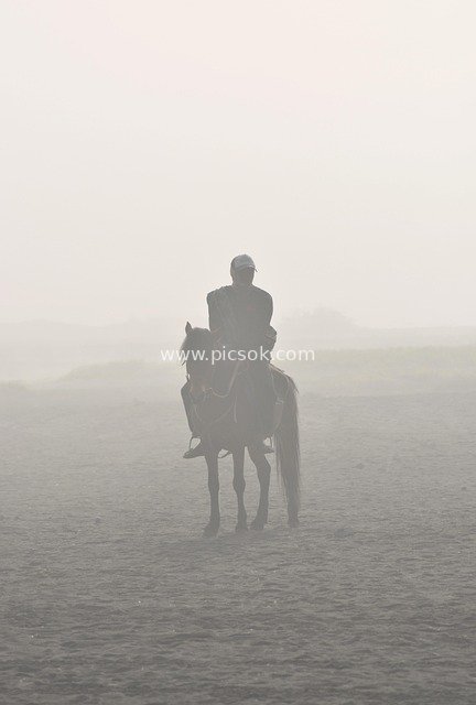 雾中骑马人 印尼爪哇朦胧旷野