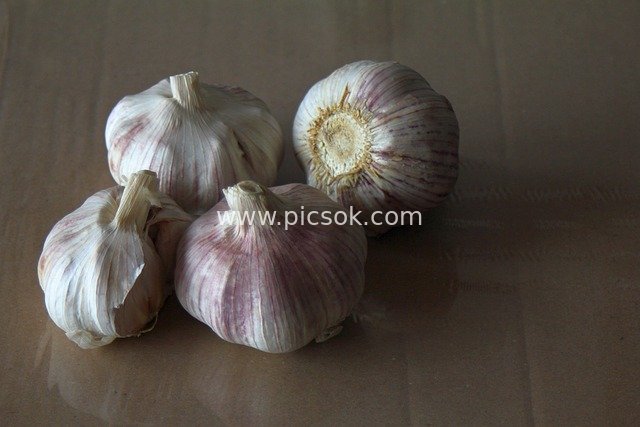 新鲜紫皮大蒜 厨房烹饪食材香料高清特写