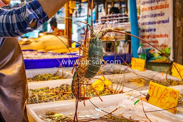 泰国芭提雅海鲜市场鲜活龙虾摊主售卖特写图