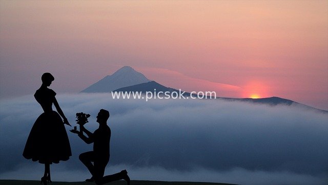 Romantic Proposal Silhouette at Sunset & Sea of Clouds: Flowers Witness Love's Moment