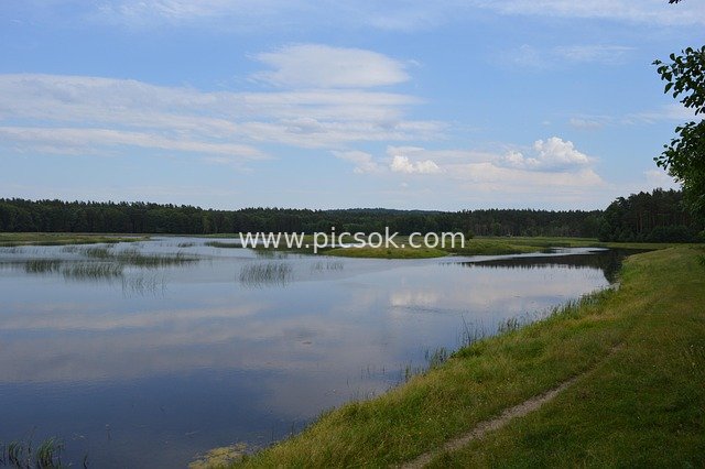 High-Definition Scenery of Polish Summer Lake Nature Reserve