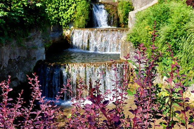 Summer Mountain Waterfall with Purple-Red Barberry Natural Landscape