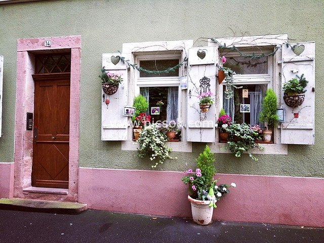 Cute Old House in Heidelberg with Pink Doors/Windows and Colorful Floral Decor