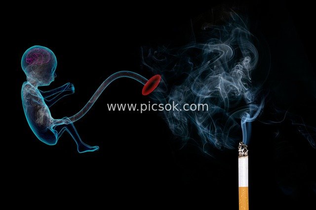 Smoking During Pregnancy Harms the Fetus; Cigarette Smoke Impacts Fetal Health