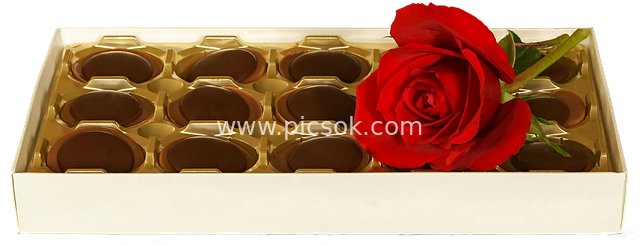 Chocolate Gift Box Accented with Red Roses - Romantic Gift Scene Image