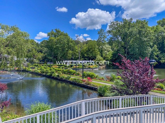 纽约长岛天鹅俱乐部花园池塘清新景致