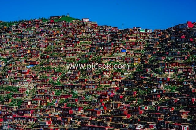Scenery of Seda Red Houses Buddhist Village in China's Tibetan Area