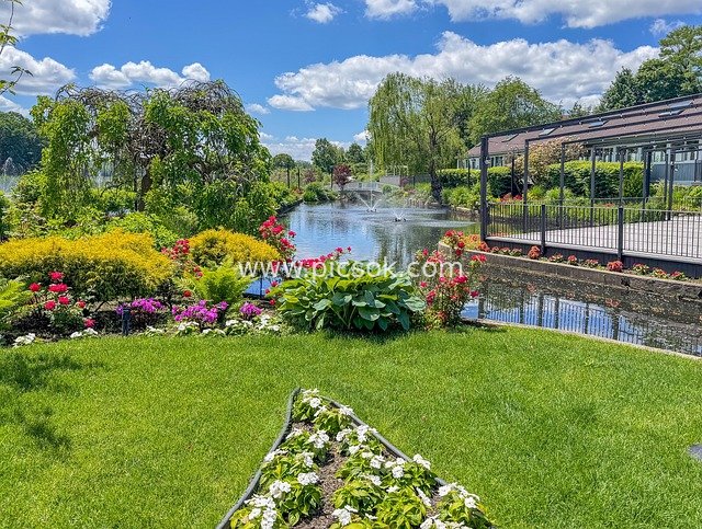 纽约长岛天鹅俱乐部花园池塘户外美景