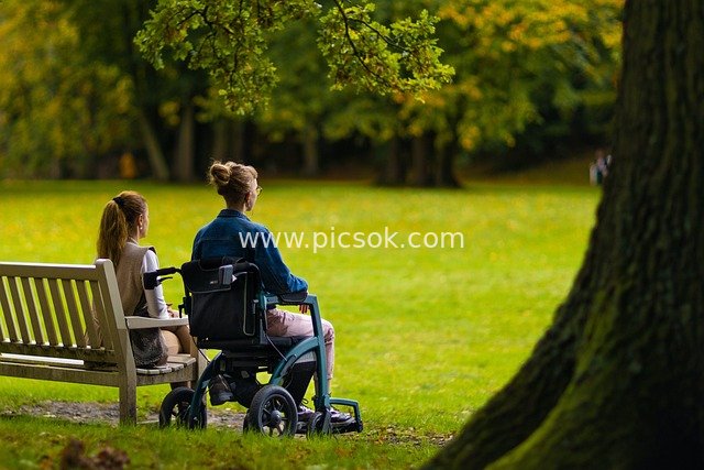 Rehabilitation & Leisure Scene: Women in Wheelchairs Accompanying Each Other in an Autumn Park