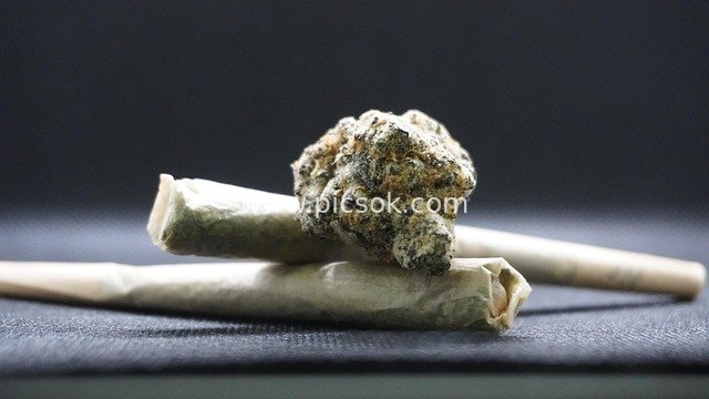 大麻花蕾与烟卷特写 草本细节展示