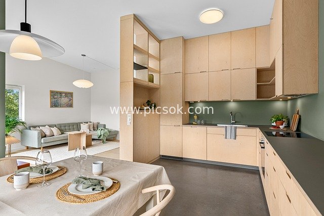 Modern Minimalist Apartment: Open Kitchen & Living Room Design