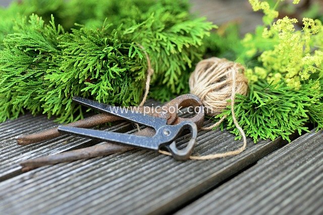 Handmade Floral Craft Tools and Green Plant Decoration Materials