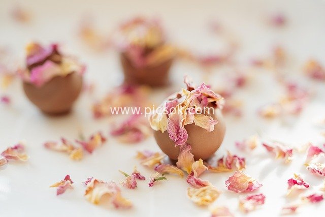 Chocolate Truffles Adorned with Romantic Rose Petals