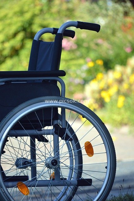 Wheelchair in Summer Outdoor Garden: Mobility Aid and Rehabilitation Scene