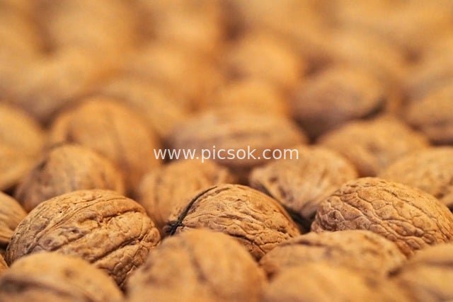 饱满核桃特写 健康坚果食材高清图片