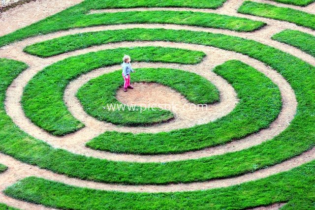 Children Exploring in a Garden Maze – A Lush, Playful Scene